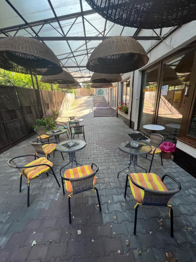 Villa Centrum With Access Kitchen (Adults Only) Ζιελόνα Γκόρα Εξωτερικό φωτογραφία